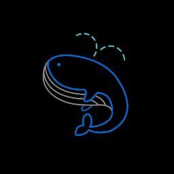 kaushik's profile picture